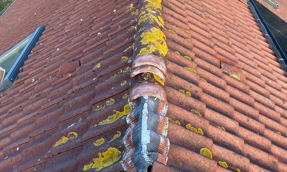 Mos op de nokvorsten Mos op de nokvorsten